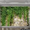 2D Natural Ivy Covered Stone Wall Backdrop Outdoor Greenery Photo Background