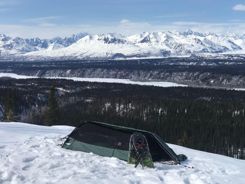 L'amaca Lawson Blue Ridge Camping un nuovo modello utilizzato dagli Stati Uniti viene fornita con un sistema di sospensione dedicato autorizzato Hammock, Blu Navy, cinghia. (Prodotto giapponese)
