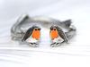 Retro Colorful Drip Oil Bird Necklace & Ring Set