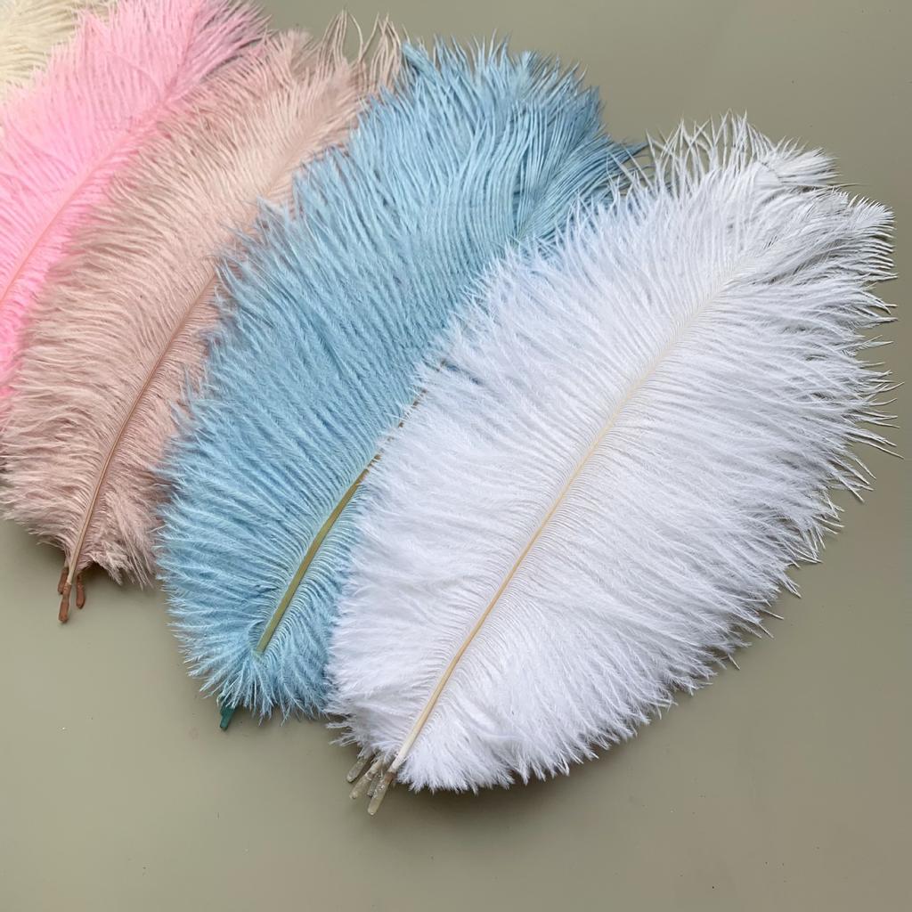 Source Thin Rod Ostrich Hair 20-25Cm High Quality Feather Diy Stage Clothing Accessories Flower Arrangement Material