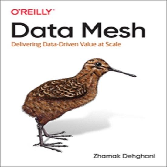 oreilly Data Mesh paperback i165 UKN119
