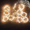 Pleasure Holiday 100LED 3x1Meter Curtain Strings Light USB 8-Mode Fairy Lamp with Remote Control