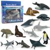 Children's Educational Learning Cards: 12 Types of Hand-Painted Dinosaur and Marine Animal Models