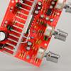 DC12v Car Diy Stereo Dual Channel Amplifier Board with Silver Plated Knobs 50Wx2 High Power And Advanced Chip 13135