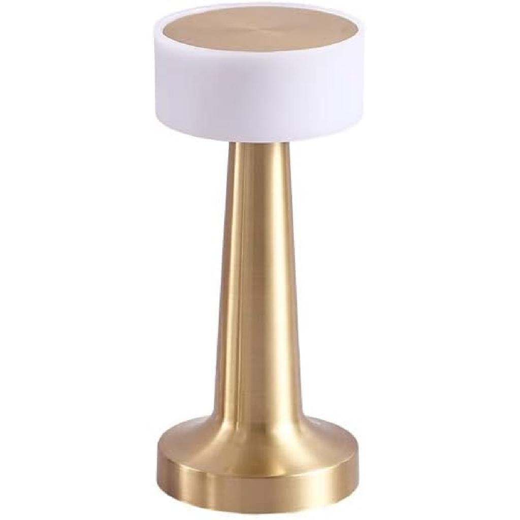 Portable LED Table Lamp,3 Color Touch Control Rechargeable Lamp,3-Levels Brightness Room Decor Desk Lamp,Bedside Lamp,Night Light for Kids Nursery,