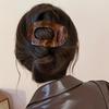 Leopard Print Oval Frosted Hair Clip Women's High-end Versatile Duckbill Clip Hair Accessories