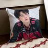 Korean Actor SSong KKang Cushion Cover Reversible Soft Durable Pillow Cover Home  Car MultiScene Use for Daily Comfort