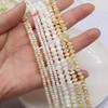 1String, White Yellow Natural Shell Beads for Jewelry Making DIY Necklaces, Bracelets Anklets Accessory, Unique Gifts for Halloween, Christmas 38cm