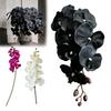 Stunning Silk Orchids for Birthday Gifts Artificial Phalaenopsis Orchid Flower Home Decor, Realistic Velvet Plant Elegant Centerpiece Living