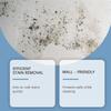 Wall Stain Remover, Wall Cleaning And Mold Removal, Safe And Non-Damaging To Walls, Daily Household Bathroom Cleaner