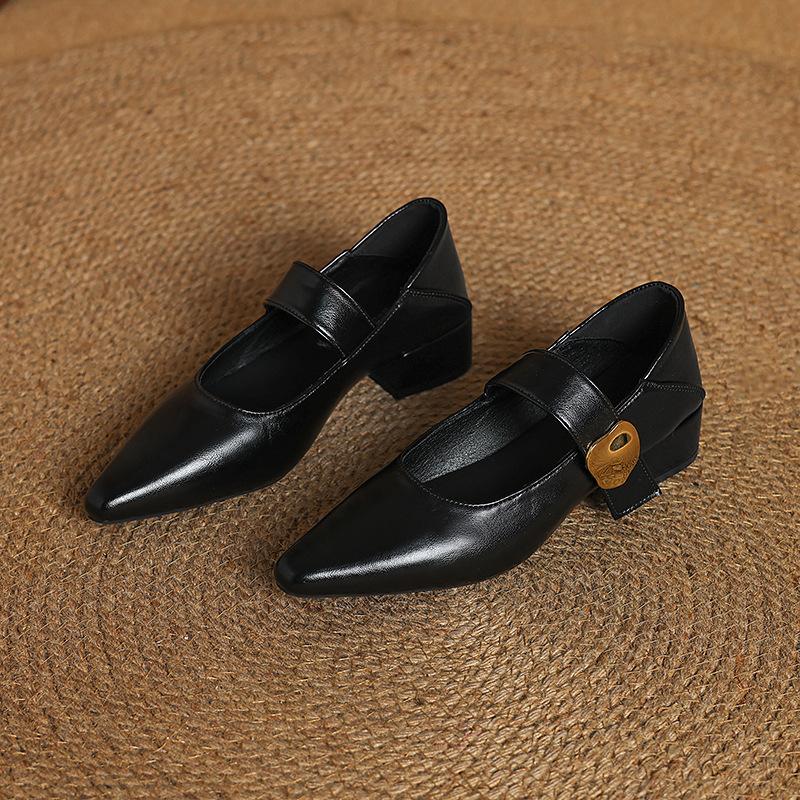 2025 spring new pointed thick heel high heels shallow mouth buckle single shoes women's shoes fashion trend European and American style