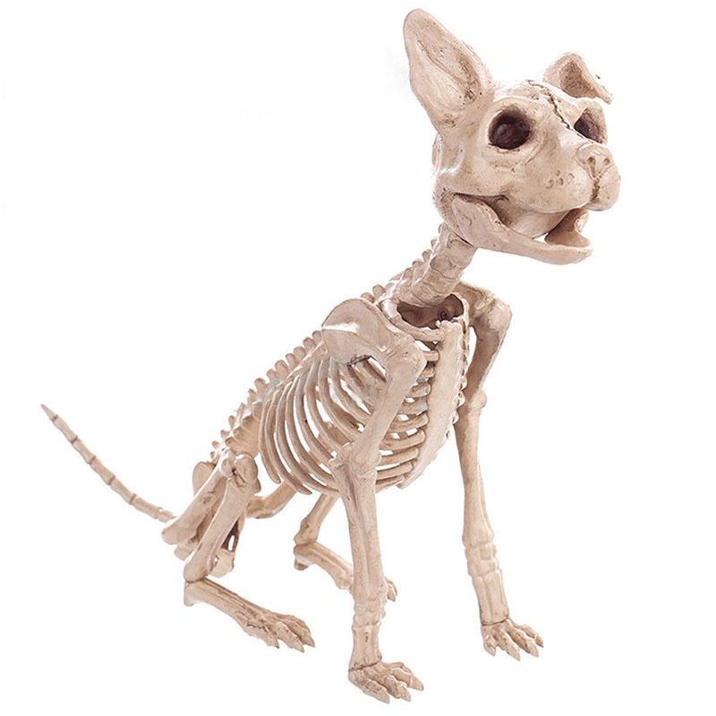 Halloween Cat Skeleton Dog Owl Prop Animal Bones Party Shop Horror Decoration