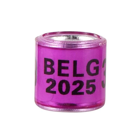 Inel de Picior Porumbel Multicolor 2025/2026 cu Cuvânt Inel de Picior Inel pentru Pasăre Durabil de Înaltă Calitate Inel de Marcare Pasăre Consumabile pentru Păsări 50 Buc