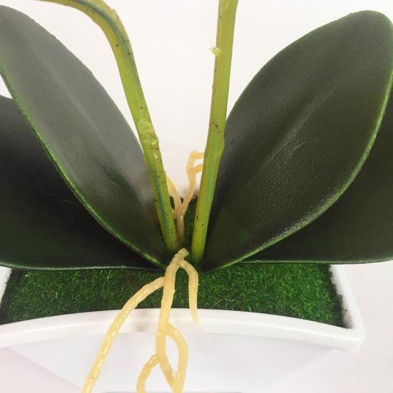 Fake Phalaenopsis Flower Bonsai Lifelike Unique Portable Real Touch Flower for Party