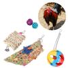 5pcs Foraging Toys Colorful Shred Bell Ball Basket Chewing for Pet Chicken Parrot  Bird