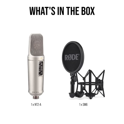 RODE Microphones NT2-A Condenser Microphone