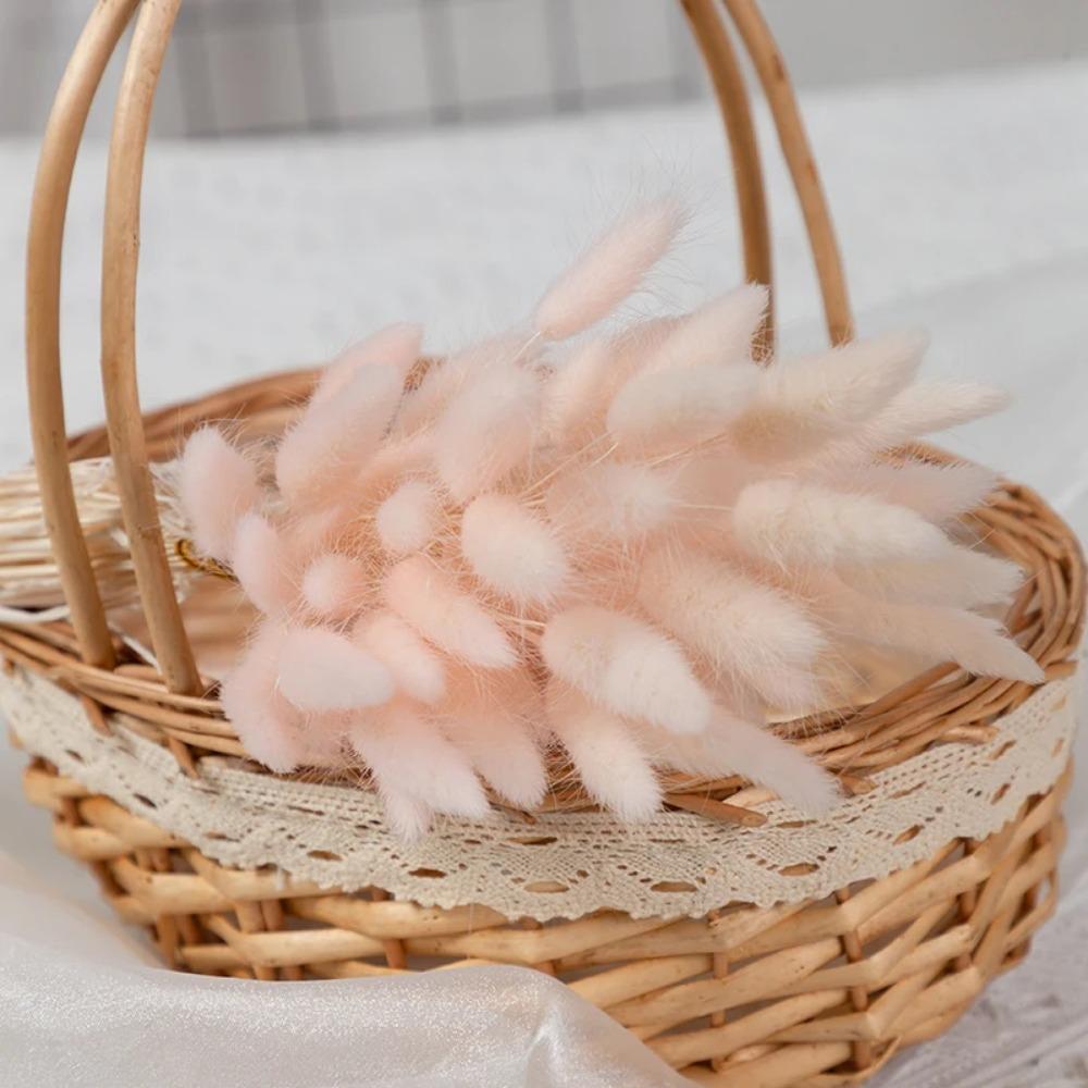 50Pcs Fluffy Bunny Rabbit Tail Grass Dried Flowers Bouquet Wedding Christmas Decor Natural Pampas Boho Home Autumn Decoration