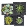 Standing flower stand, plant stand, metal loft, 4 levels, 68cm