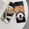 Popular Red Pandas Phone Case For Samsung Z Flip 7 6 5G Galaxy Z Flip 5 4 3 Black Hard Cell Cover Luxury PC Shell Coque