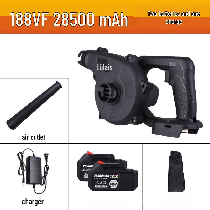 Kalei Cordless High-Power Hair Dryer CN plug (adapter included)