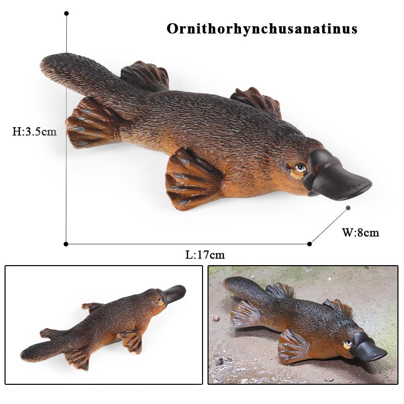 Oenux Classic Australian Wild Animals Kangaroos Koala Platypus Tasmanian Devil Echidna  Cassowary Model Figurine Toy Kid Gift