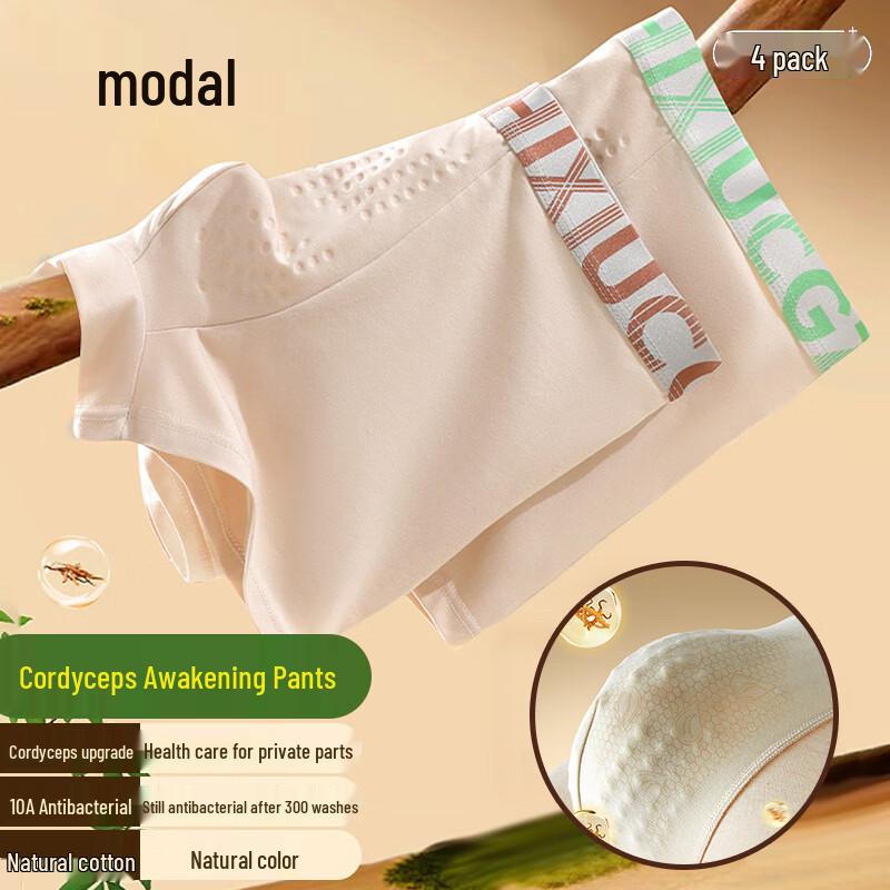 Men s Modal Cotton Antibacterial Boxer Briefs 3-Pack 185/3XL