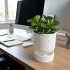 Plastic Succulent Plant Basin Root Control Green Onion Pots Plant Containers  Green Plants