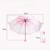 Korean Umbrella Cute Mini Fresh and Three-Fold Japanese Cherry Blossom Transparent Umbrella, Rainproof and Windproof