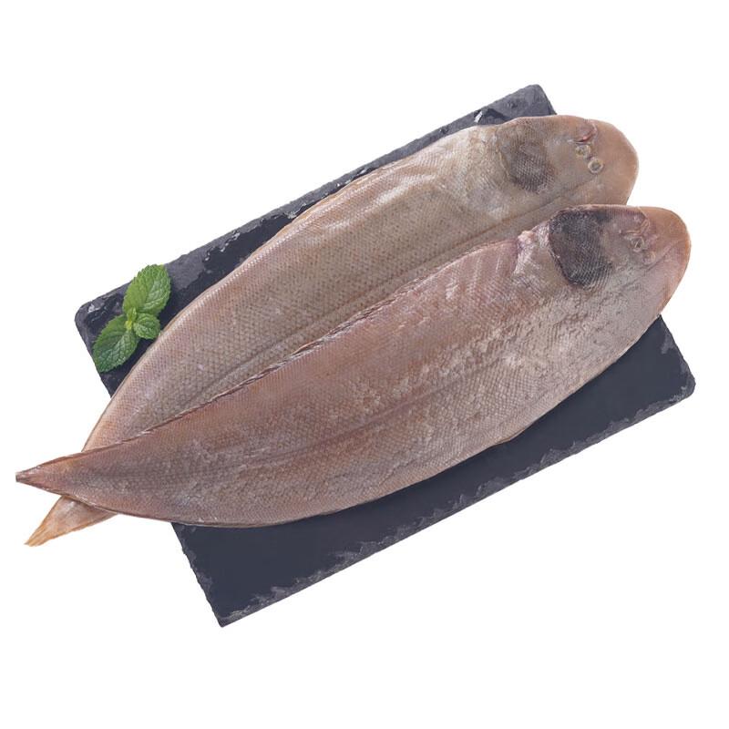 Maiyiou Premium Frozen Dory Fish