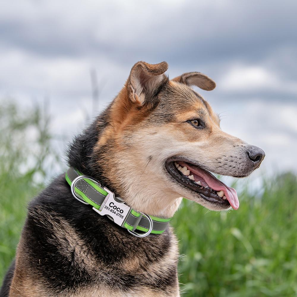 Weiches reflektierendes personalisiertes Hundehalsband, individuelles ID-Halsband, strapazierfähiges Nylon-Welpenhalsband, verstellbar für kleine, mittlere und große Hunde