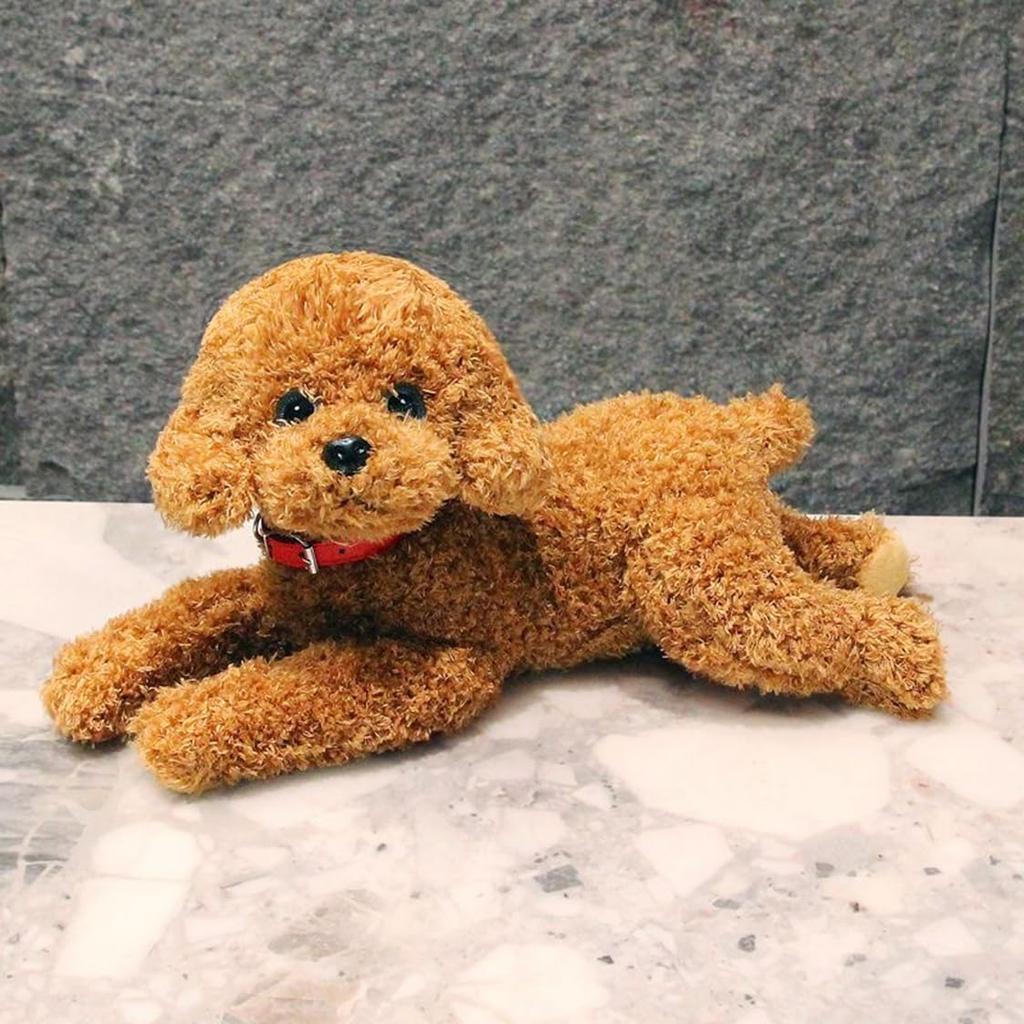 Pudel gosedjur mjuk till den söta och lugnande pudel gosedjur kram för att sova för att lägga till för för för födelsedagspresent djur, hund, realistisk,