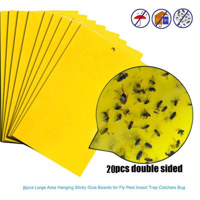 10/20/30Pcs Strong Flies Traps Bugs Sticky Board Catching Aphid Insects Pest Killer