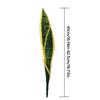 Kreative Grüne Künstliche Schlangenpflanze Foto Requisiten Weiches PVC Simulation Gras Handwerk Orchideen Gras Geschenk