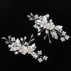 2PCS Crystal Shoe Clips Wedding Bridal Shoe Buckles Rhinestones Shoe Flowers for Party Decoration Wedding Craft Acces