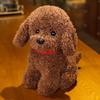 Cute Realistic Husky and Pomeranian Dog Plush Figurine Dolls