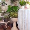 Vaso da Fiori in Plastica, Fioriera a Forma di Calice, Fioriera Leggera con Fori di Drenaggio Decorativi per Interni Esterni Giardino Patio