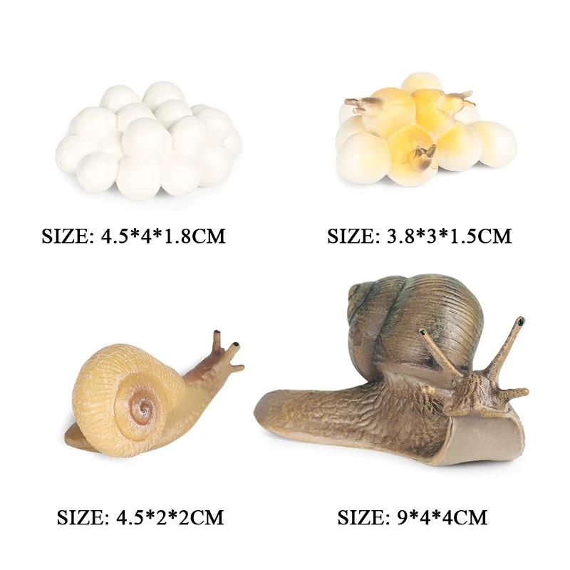 Oenux Simulation Luna Moth Salmon Butterfly Ants Life Growth Cycle Animals Model Action Figures Educational Miniature Kids Toy