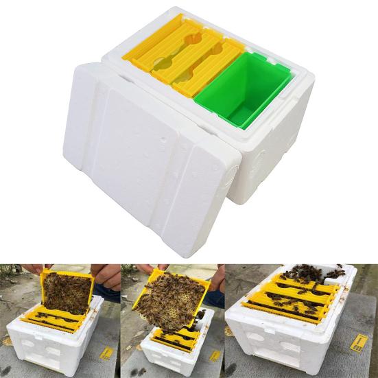 Queen Bee Mating Box Foam Queen Rearing Box Breeding Rearing Copulation Accessory Beekeeping Equipment for Beehive Bee Breeding