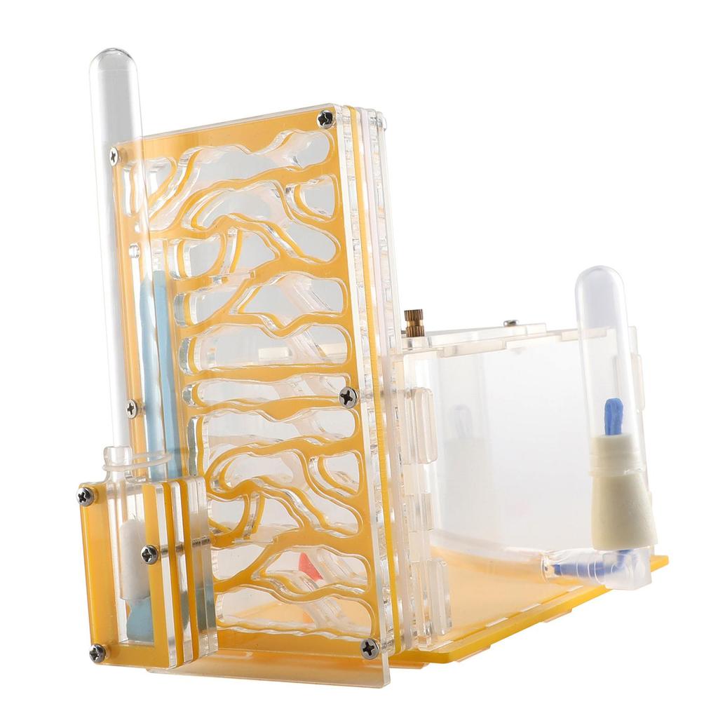 Breeding Case with Feeder Observation and Tabletop Display