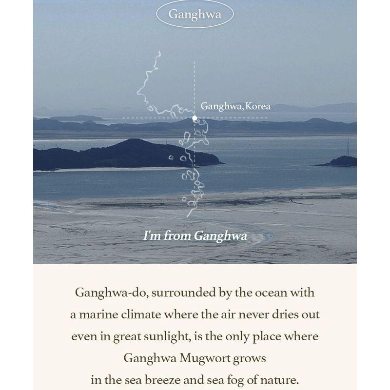 I'm from - Mugwort Sheet Mask Set