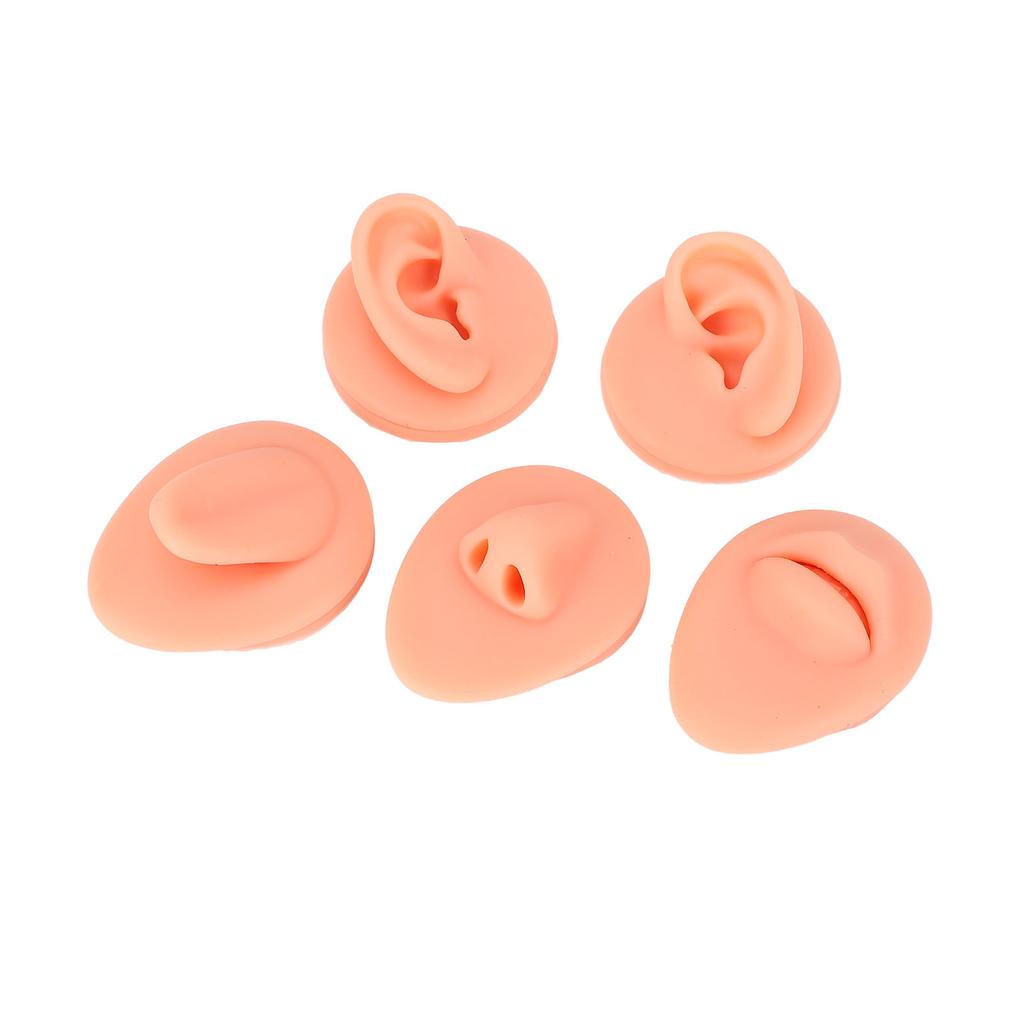 Silicone Tongue Mouth Nose Model Reusable Simulation Silicone Body Parts Practice Display Model