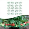 20 Pcs Strawberry Supports Stands For Plants Strawberry Supports Plant With 4 Sturdy Support Feet Garden Accessories Rack