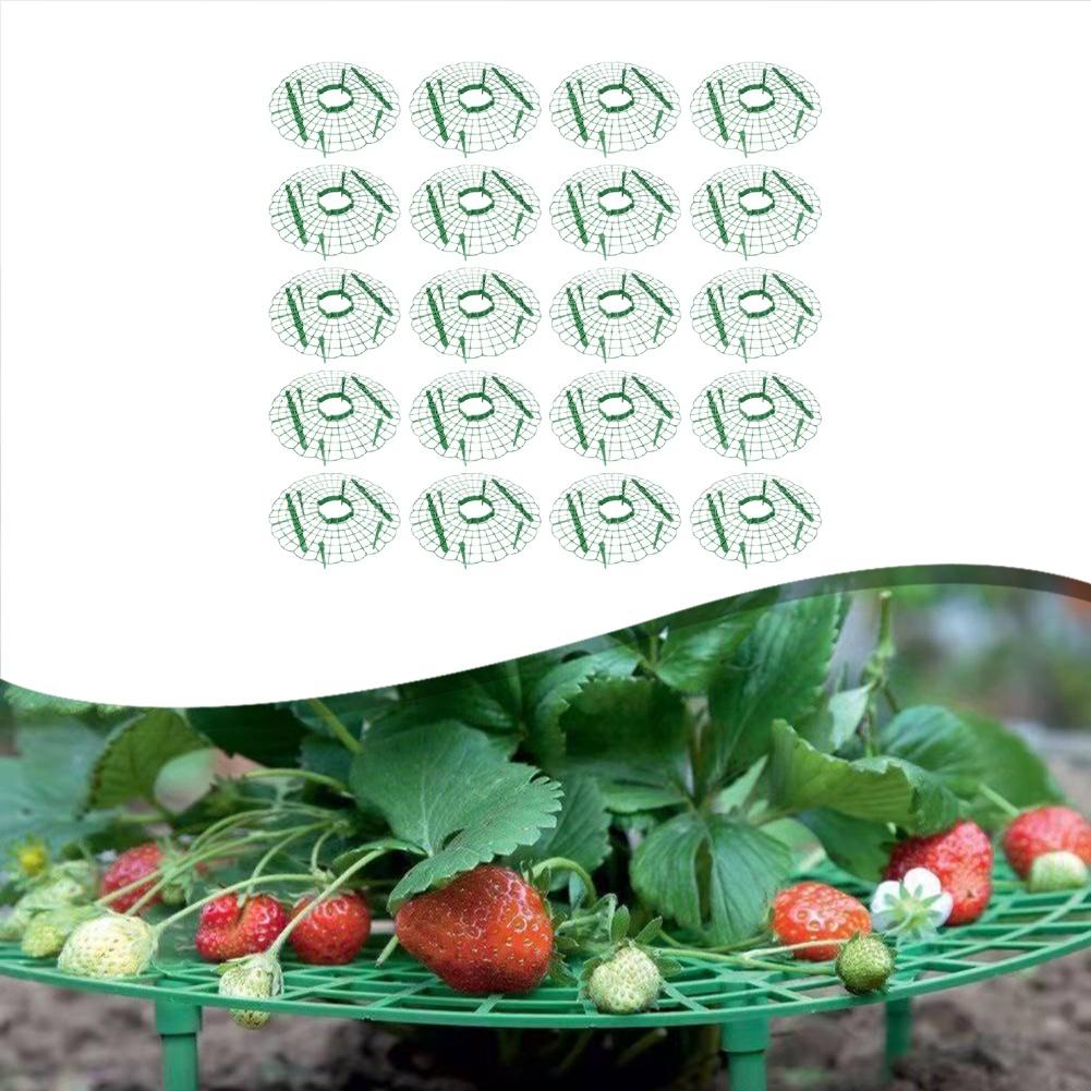 20 Pcs Strawberry Supports Stands For Plants Strawberry Supports Plant With 4 Sturdy Support Feet Garden Accessories Rack