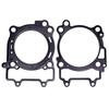 Engine Gasket Kit For Polaris ACE 570 RZR 570 Ranger 570