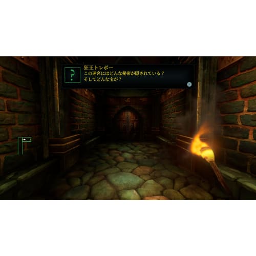 Wizardry: Proving Grounds of the Mad Overlord -PS5 [Bonus] Front and Back Jackets, Manual Included