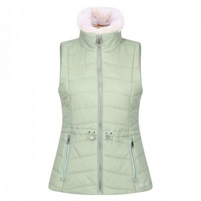 Damen/Damen Ärmelloser Isolierter Bodywarmer