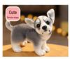 Simulated Plush Dog Toys: Husky & Akita Dog Dolls - Perfect Gift for Kids