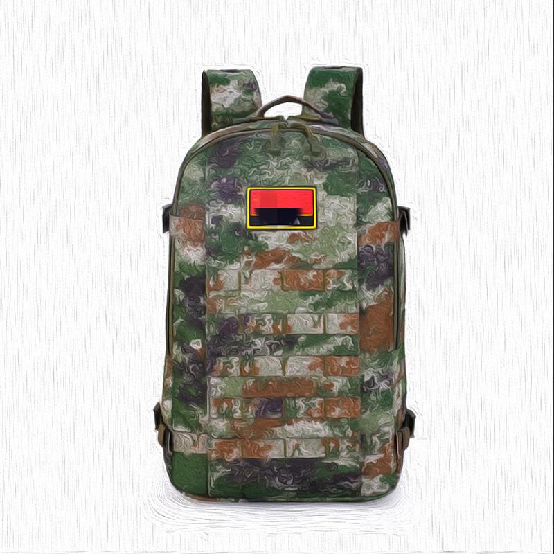 

Lishen Outdoor Tactical Backpack