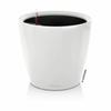 Plant Pot