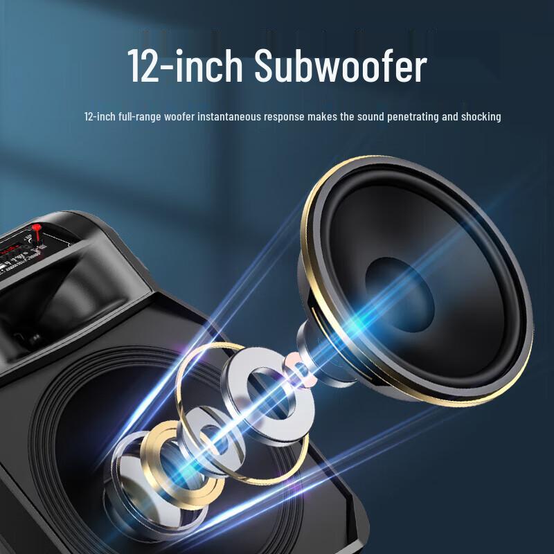 SA-T25 Portable High-Power Outdoor KTV Speaker